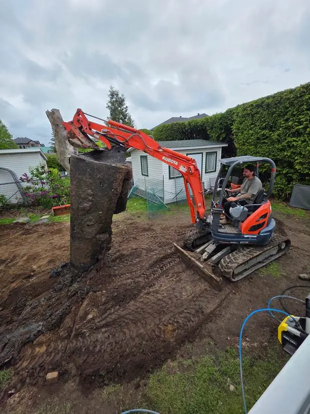 Essouchage à la Kubota U25